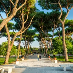 Passeggiata tra i pini marittimi nei giardini di Roma, con persone che si godono la tranquillità e il verde.