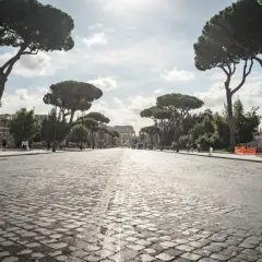 Strada acciottolata verso il Colosseo, un'icona per chi ama il roma viaggiare. Pini marittimi maestosi incorniciano la vista.