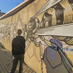 Ragazzo ammira un murale di insetti stilizzati a Quadraro, Roma. La parete gialla è decorata con un'ape gigante e altre creature.