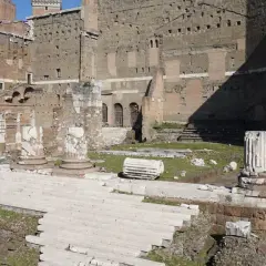 Rovine del Foro di Augusto a Roma, con imponenti colonne e scalinate di marmo bianco che emergono dall'erba verde.