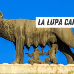 La Lupa Capitolina, simbolo di Roma, allatta Romolo e Remo. La statua si trova in Campidoglio.