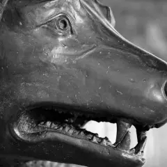 Dettaglio della lupa capitolina, simbolo di Roma, con la bocca aperta e i denti aguzzi.