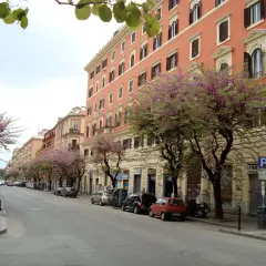 Strada alberata con fiori rosa a San Lorenzo, Roma. Edifici color pesca e negozi. Cosa vedere a San Lorenzo Roma in primavera.