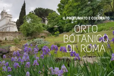 Fiori viola e verdi lussureggianti nel profumato Orto Botanico di Roma, con un edificio storico sullo sfondo.