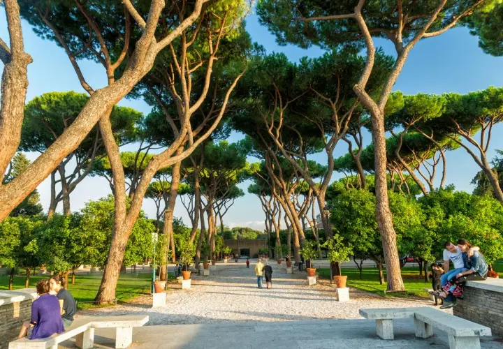 Passeggiata tra i pini marittimi nei giardini di Roma, con persone che si godono la tranquillità e il verde.