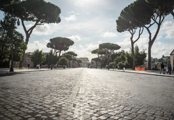 Strada acciottolata verso il Colosseo, un'icona per chi ama il roma viaggiare. Pini marittimi maestosi incorniciano la vista.