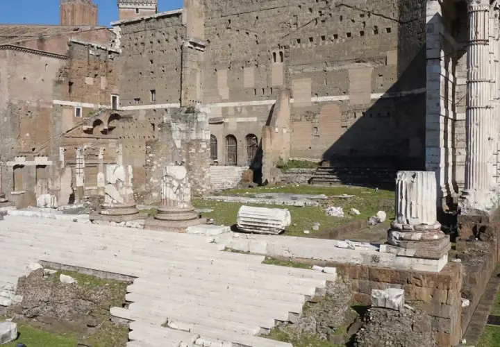 Rovine del Foro di Augusto a Roma, con imponenti colonne e scalinate di marmo bianco che emergono dall'erba verde.