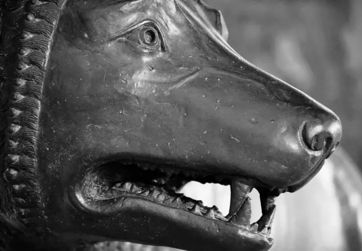 Dettaglio della lupa capitolina, simbolo di Roma, con la bocca aperta e i denti aguzzi.