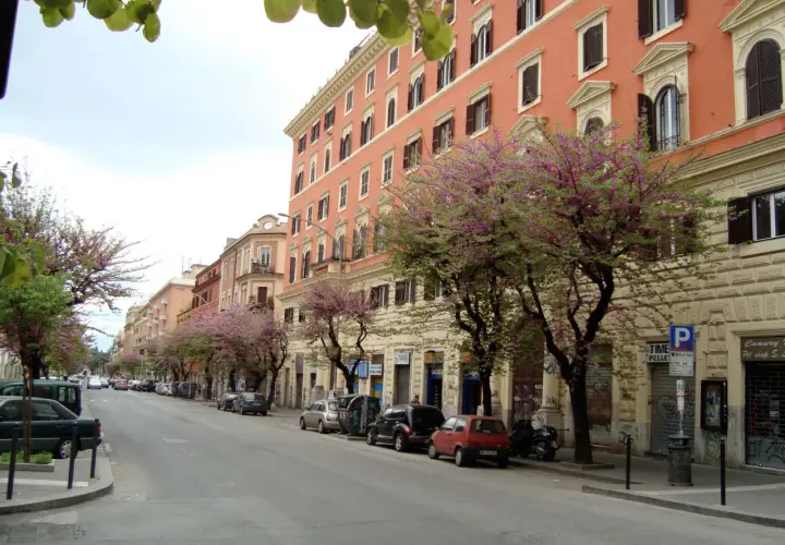 Strada alberata con fiori rosa a San Lorenzo, Roma. Edifici color pesca e negozi. Cosa vedere a San Lorenzo Roma in primavera.