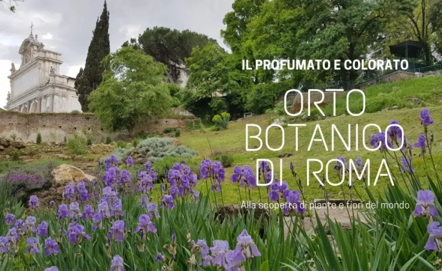 Orto Botanico di Roma, la guida per una visita tra verde e storia