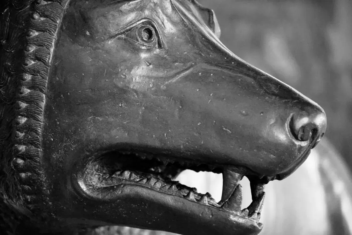 Dettaglio della lupa capitolina, simbolo di Roma, con la bocca aperta e i denti aguzzi.
