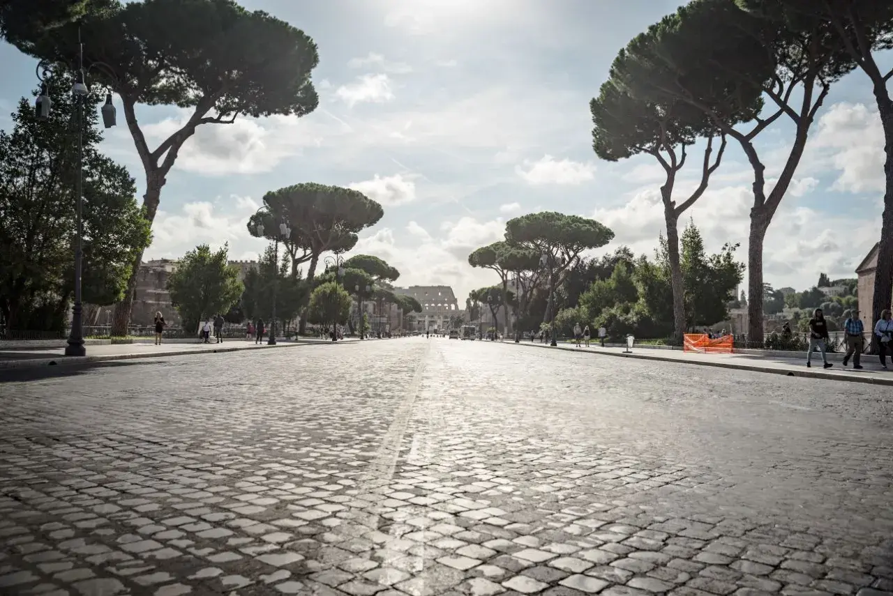 Viale alberato con pini marittimi che conduce al Colosseo, un'icona del re di Roma quartiere. Passeggiata suggestiva su sampietrini.
