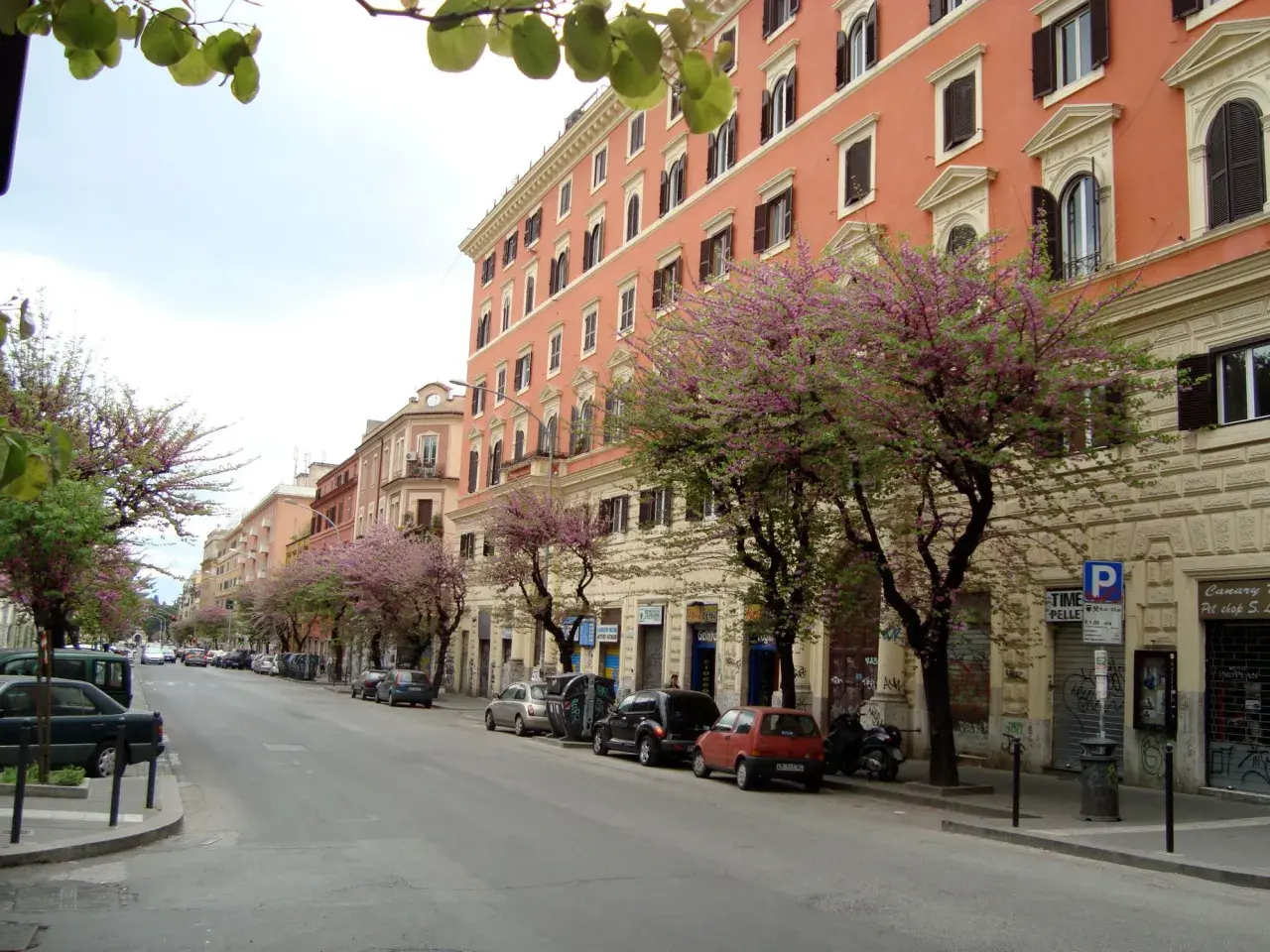 Strada alberata con fiori rosa a San Lorenzo, Roma. Edifici color pesca e negozi. Cosa vedere a San Lorenzo Roma in primavera.