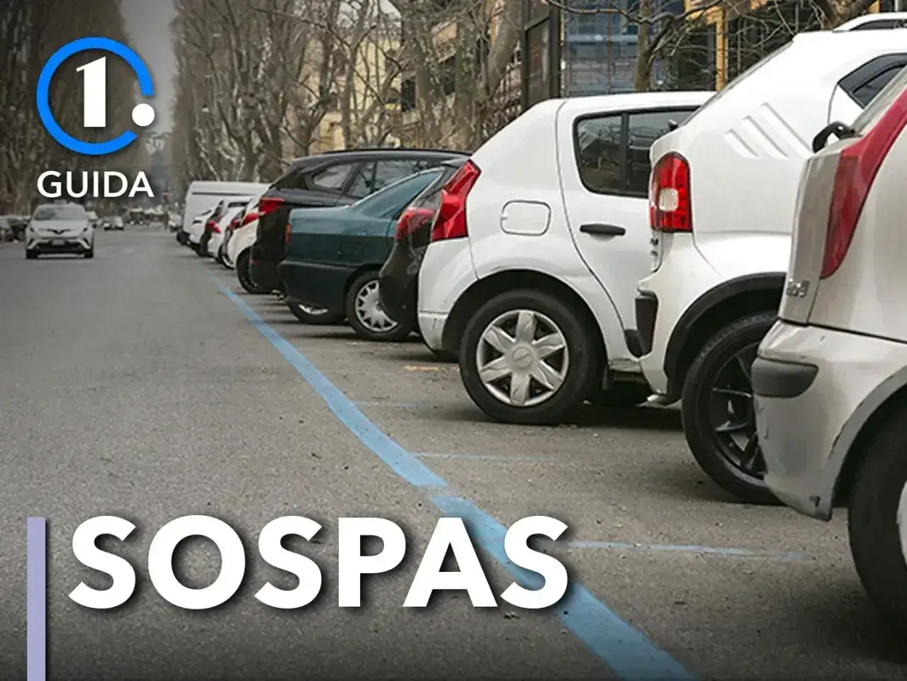 Parcheggio metro Roma: auto in fila lungo la strada con striscia blu. Guida SOSPAS.